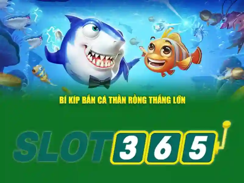 Trải nghiệm người dùng và giao diện