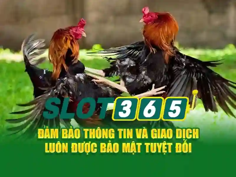 slot365 net – Trải nghiệm và giá trị vượt trội