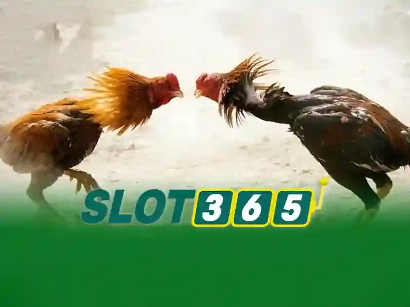 link dự phòng Slot365 – Giải pháp an toàn và tin cậy