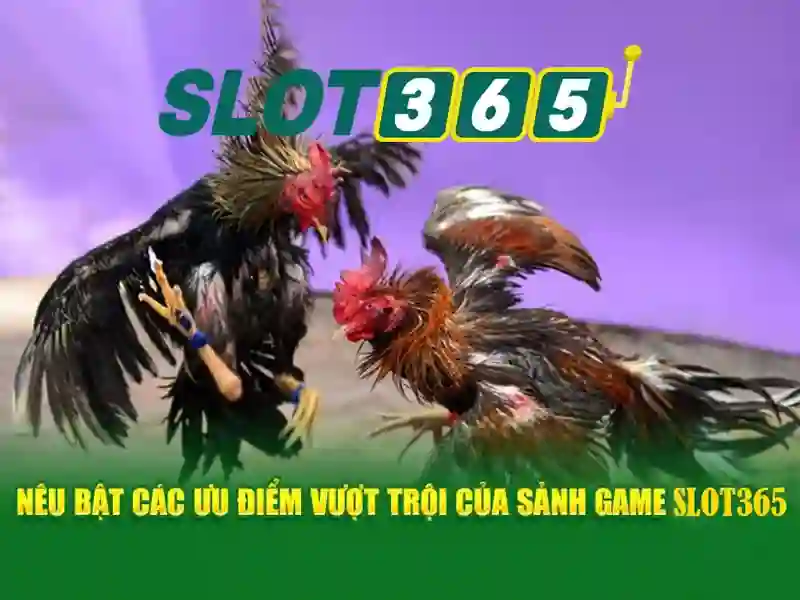 hoki slot365: khám phá trải nghiệm tại slot365 casino