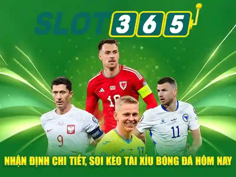 Khuyến mãi, gói thưởng và chương trình khách hàng thân thiết