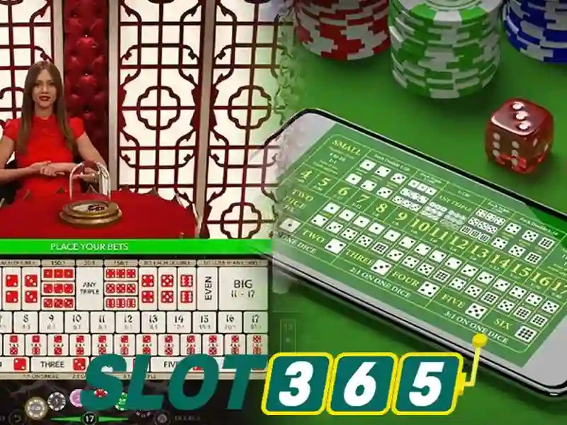 Tong quan ve dieu khoan va dieu kien tai nha cai slot365