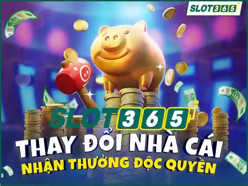 Quy trình xử lý dữ liệu và xác minh tài khoản tại slot365
