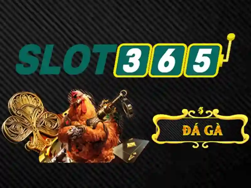 Slot365 uy tín không: Đánh giá và trải nghiệm thực tế