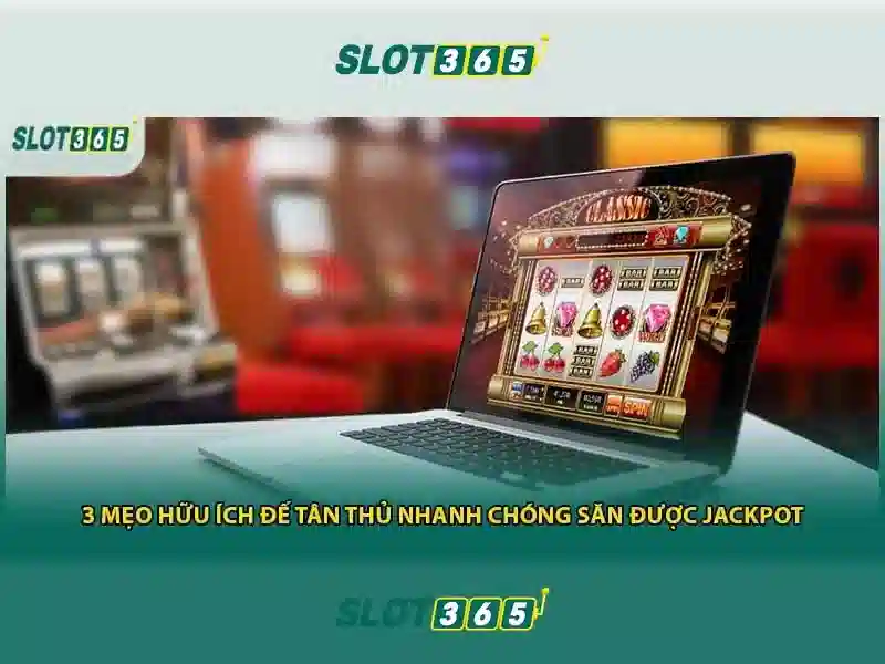 Slot365 là gì và những điều cần biết