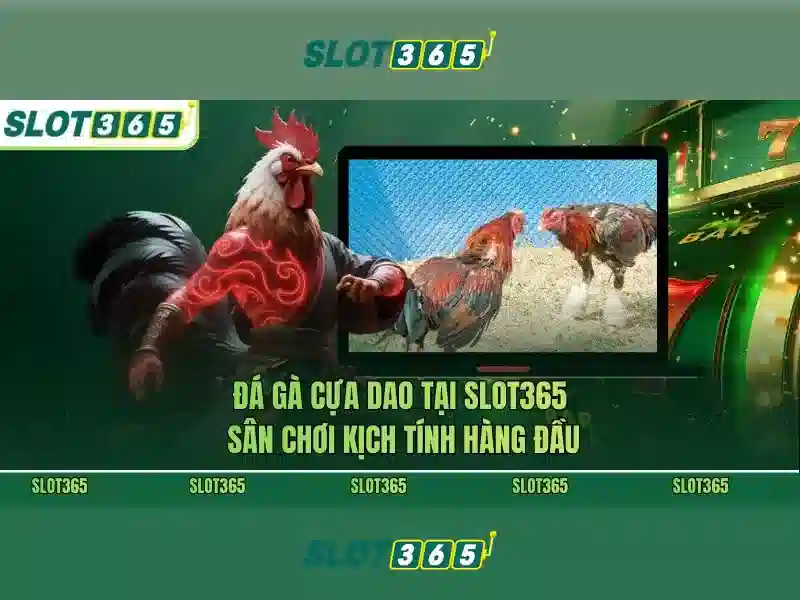 Slot365: Giới thiệu và trải nghiệm người chơi
