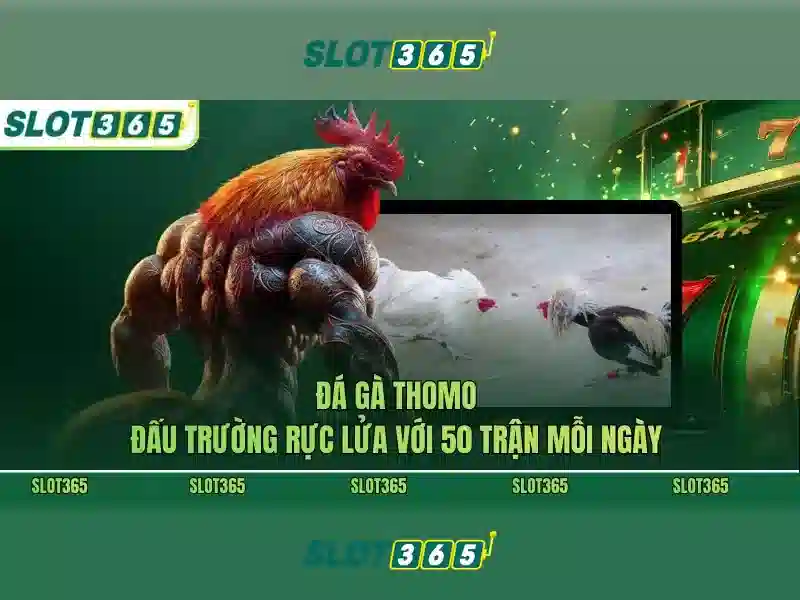 An toàn và thanh toán