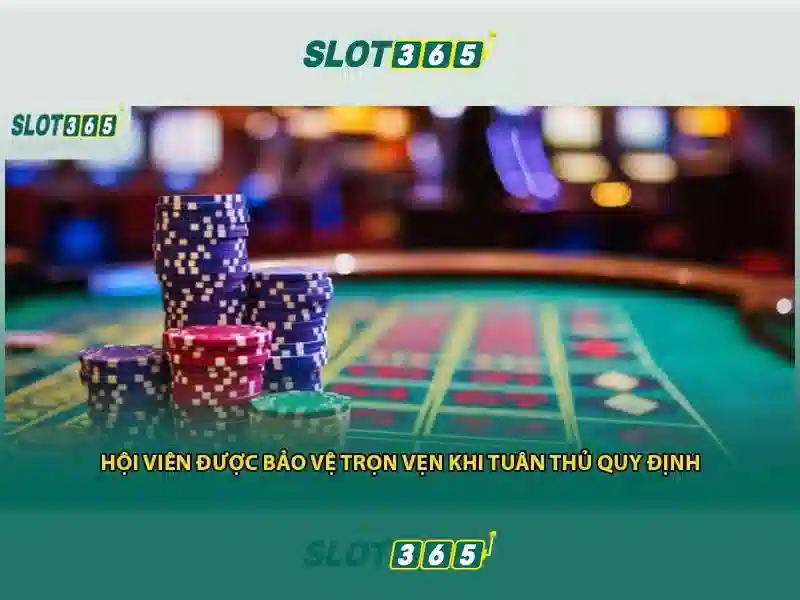 Trải nghiệm người dùng và giao diện