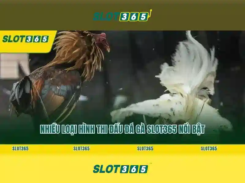 Slot365: Đánh giá tổng quan và trải nghiệm chơi