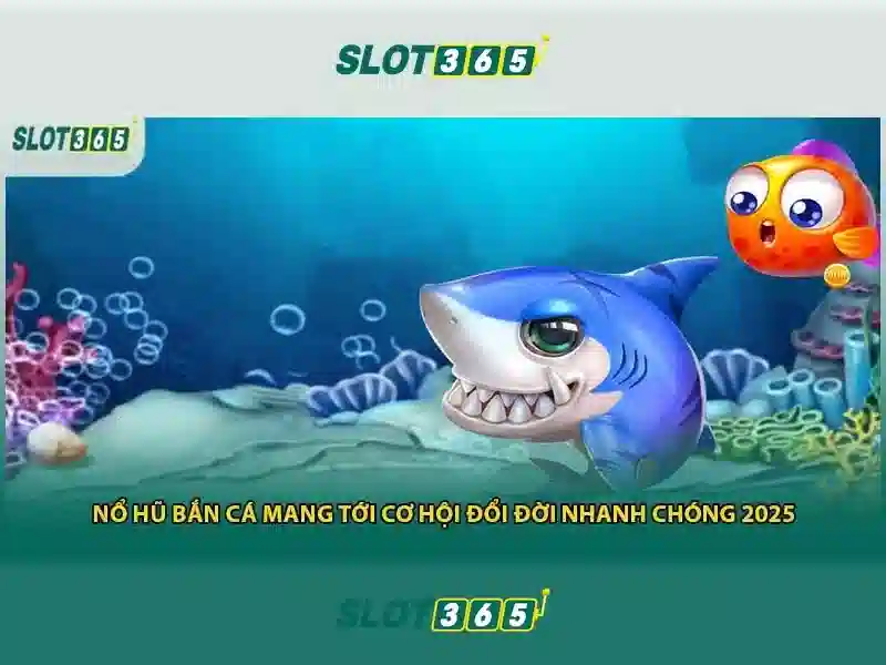 An toàn và công bằng