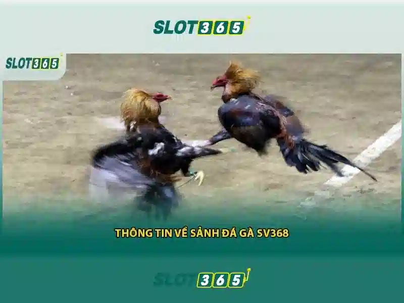 Slot365 app: Trải nghiệm và đánh giá Slot365 app