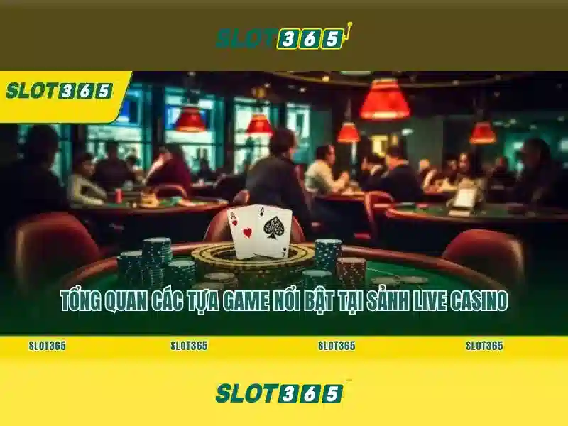 app slot365 – Khám phá nền tảng và trải nghiệm tối ưu