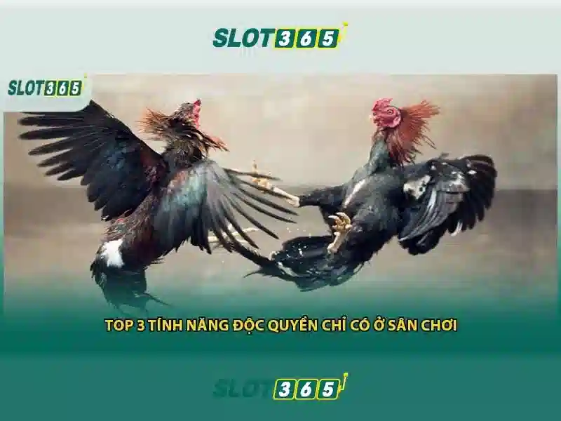 slot365 login link – kết nối nhanh, an toàn cho người dùng