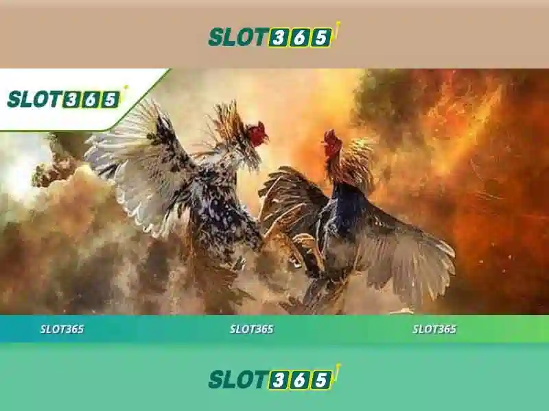 Slot365 - Trải nghiệm chơi slot trực tuyến tốt nhất
