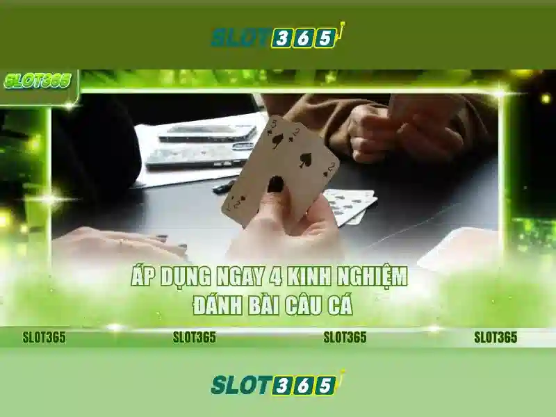 An toàn, thanh toán và hỗ trợ người dùng