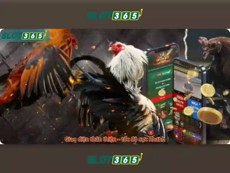Slot365 – Nền tảng slot trực tuyến uy tín và tiện ích