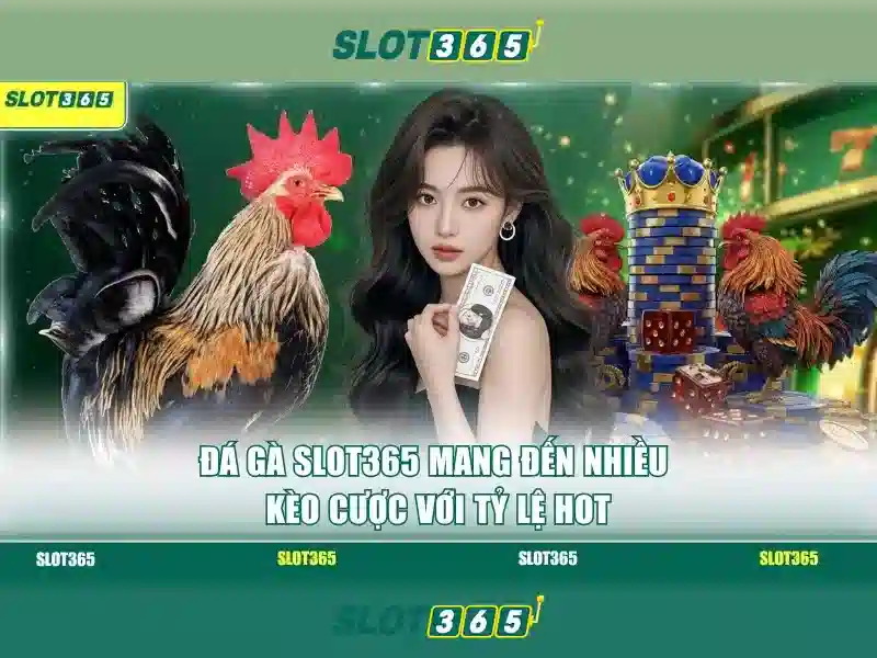 Hướng dẫn đăng ký và gửi tiền