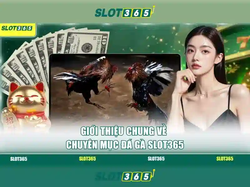 Cách chơi an toàn và công bằng