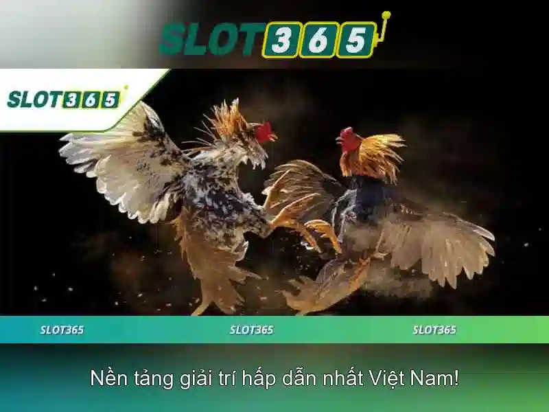 slot365 rtp – Tổng quan chủ đề và giá trị cốt lõi