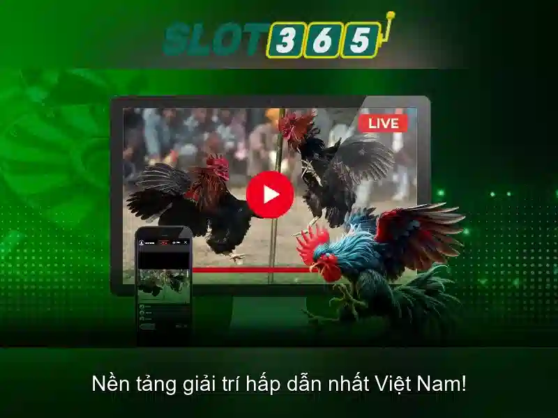 Slot365 là gì?