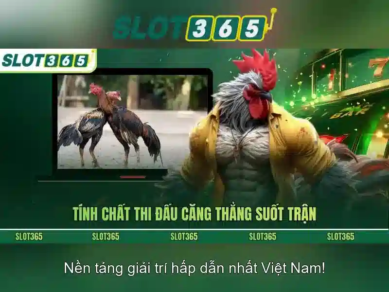 Trải nghiệm người dùng và giao diện\n<p style=