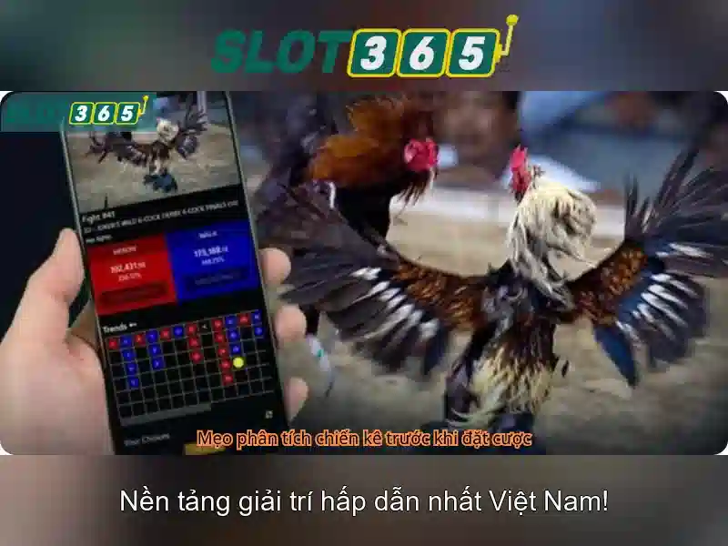 Slot365: Trải nghiệm máy đánh xèng trực tuyến đỉnh cao