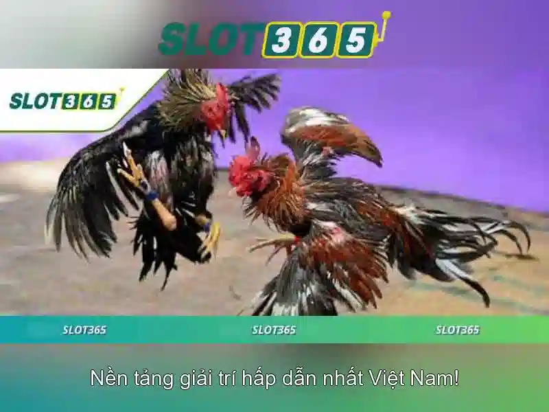 Hướng dẫn đăng ký và nhận thưởng