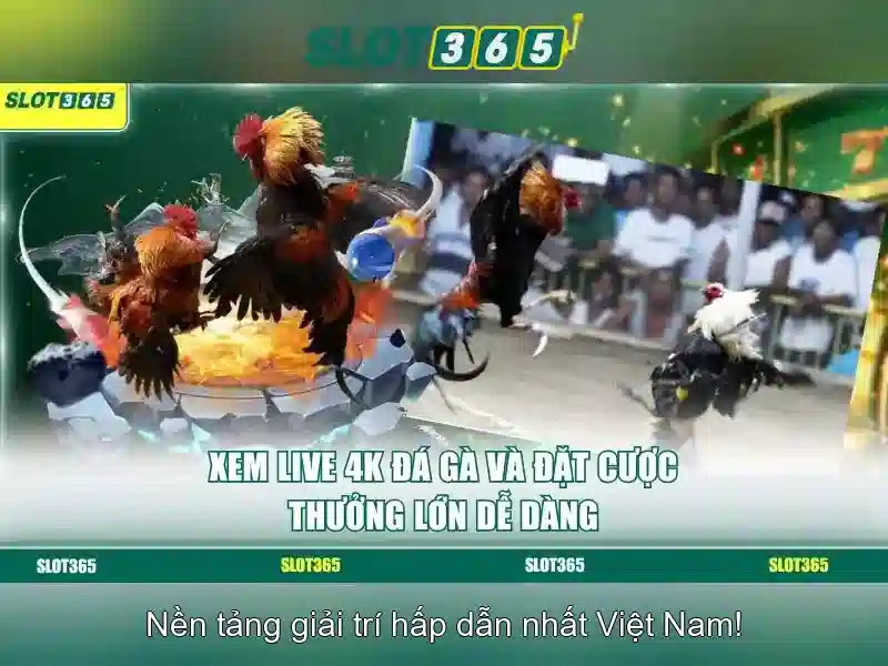 live slot365 – Trải nghiệm Slot trực tiếp đỉnh cao và an toàn