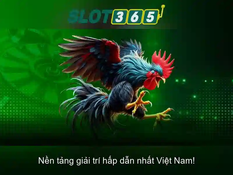 Slot365: Nền tảng casino slot trực tuyến đáng tin cậy