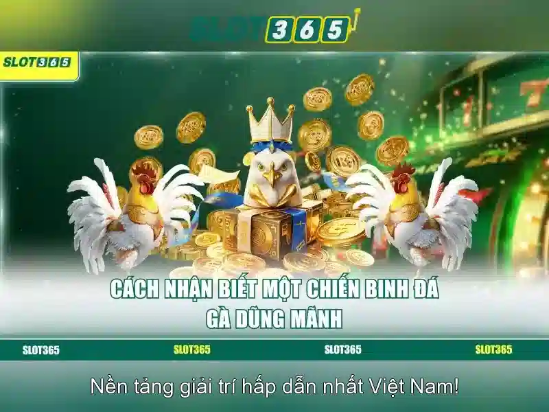 Kết luận và lưu ý