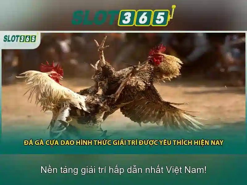 Slot365 - Nền tảng trò chơi xèng hiện đại