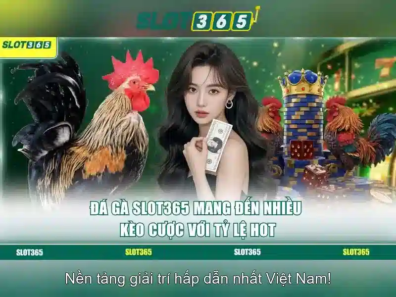  slot365 alternatif – Khám phá giá trị và trải nghiệm