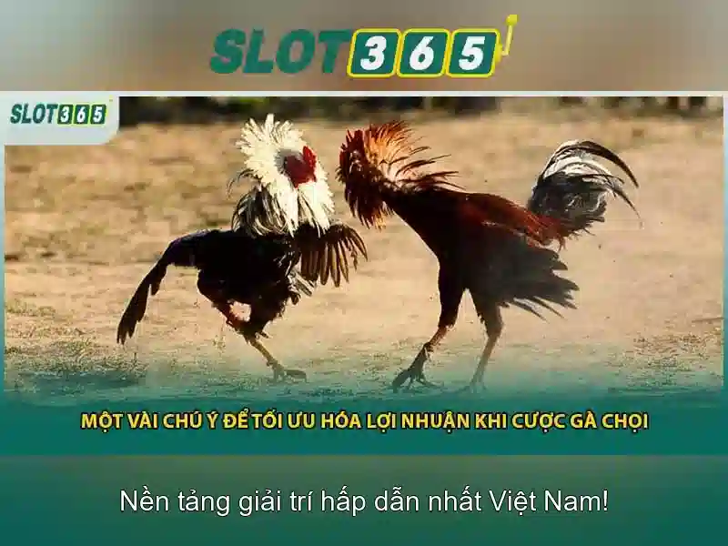 An toàn và thanh toán