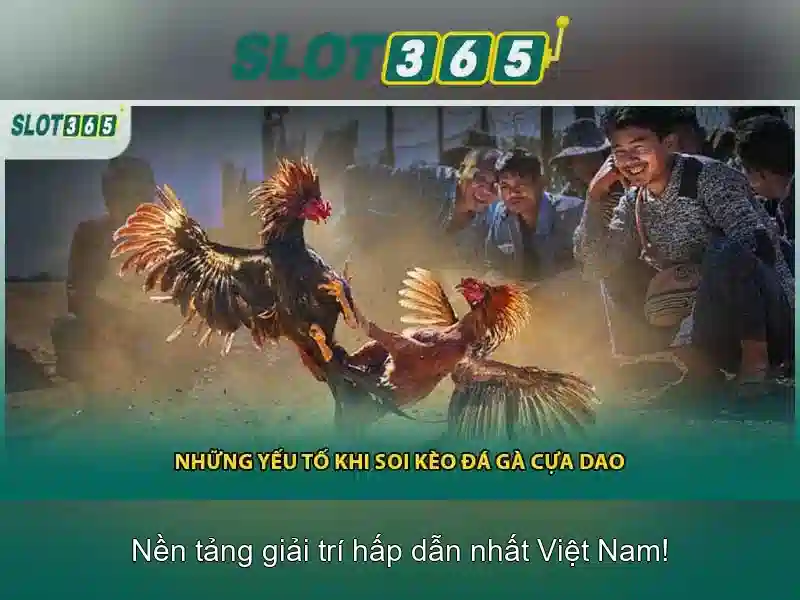Slot365: Khám phá nền tảng trò chơi slot trực tuyến đáng tin cậy