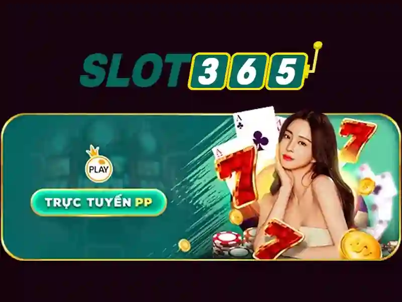 live slot365 – Trải nghiệm đỉnh cao và tổng quan giá trị