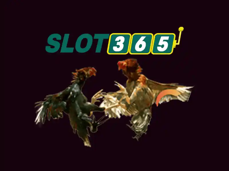 Slot365 - Nền tảng casino trực tuyến đáng tin cậy