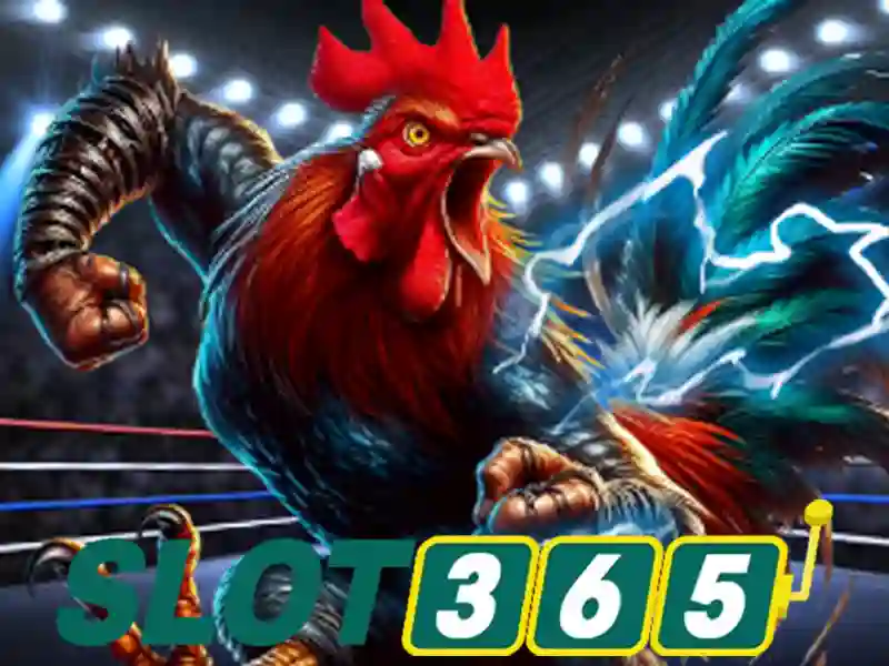 live slot365 – Tổng quan chủ đề và giá trị cốt lõi