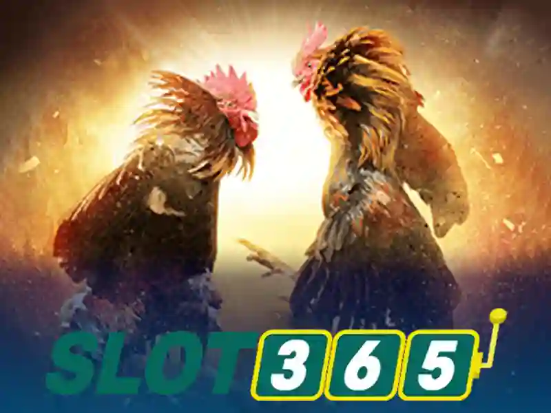 slot365 win – Trải nghiệm casino trực tuyến đỉnh cao