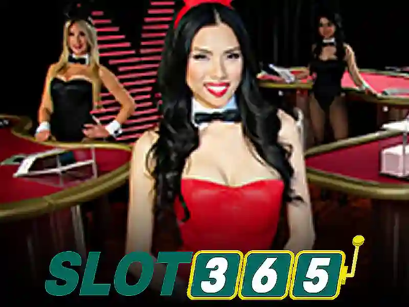 live slot365 login – Trải nghiệm và Đánh giá nổi bật
