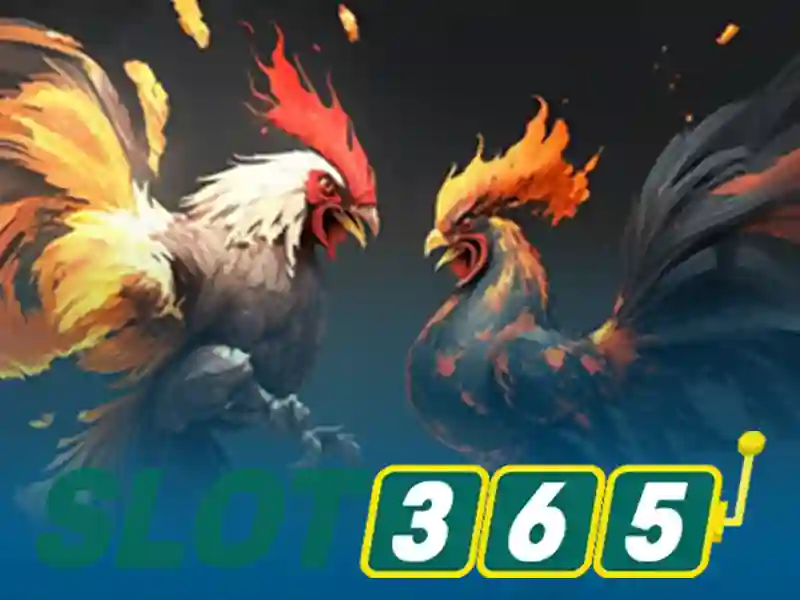 Slot365: Đánh giá nền tảng cược slot trực tuyến nổi bật