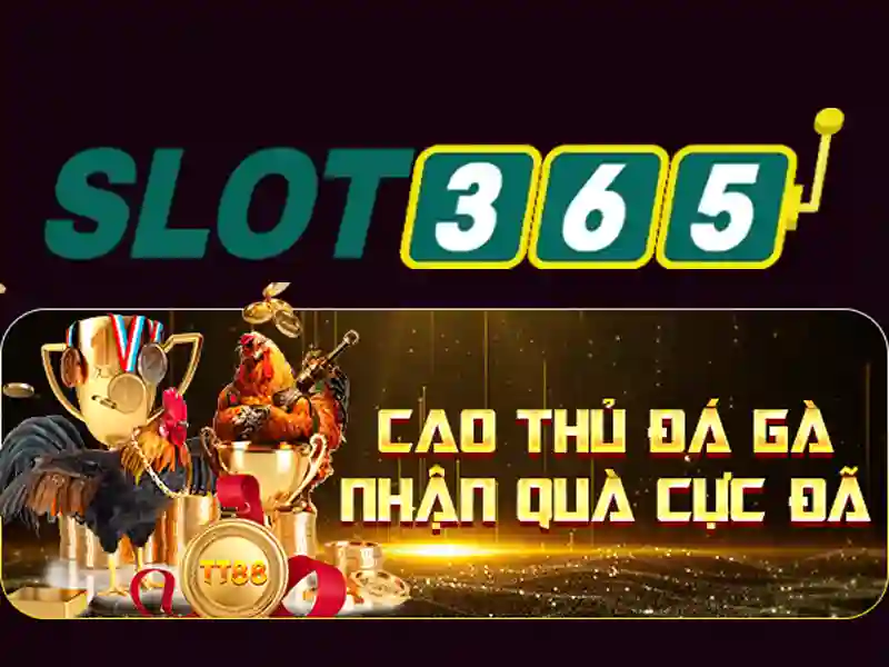 Slot365 - Nền tảng slot trực tuyến an toàn và tiện lợi