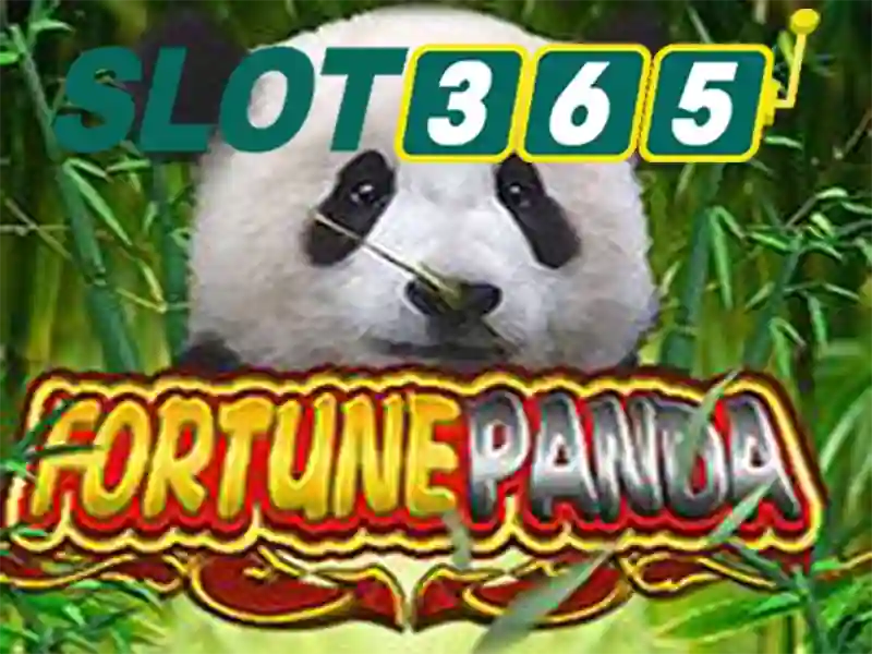 Slot365 app – Trải nghiệm và đánh giá chi tiết cho người Việt