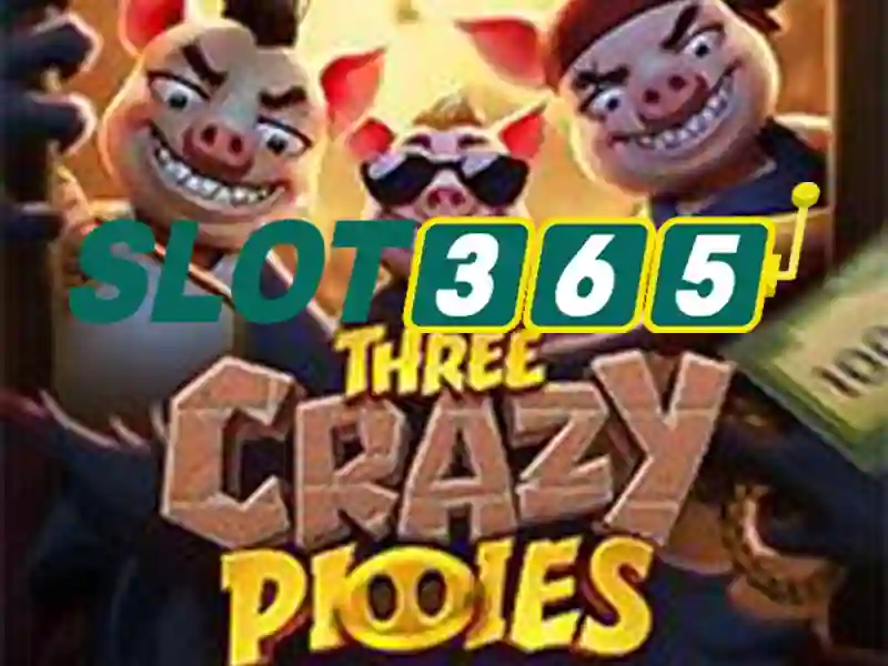 slot365 pulsa tanpa potongan – Tổng quan chủ đề và giá trị cốt lõi